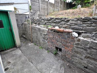 Picture 8